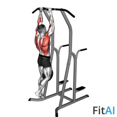 Weighted Hammer-Grip Pull-up on Dip Cage