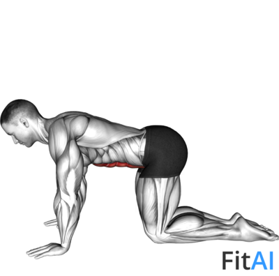 Kneeling Abdominal Draw-In