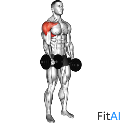 Dumbbell One Arm Underhand Front Raise
