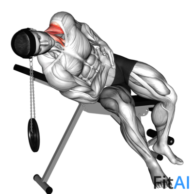 Weighted Lying Side Lifting Head (Head harness)