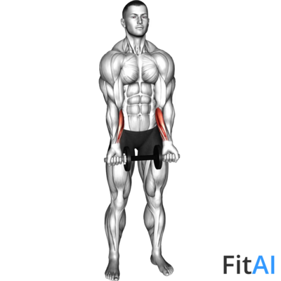 Dumbbell Standing Wrist Curl