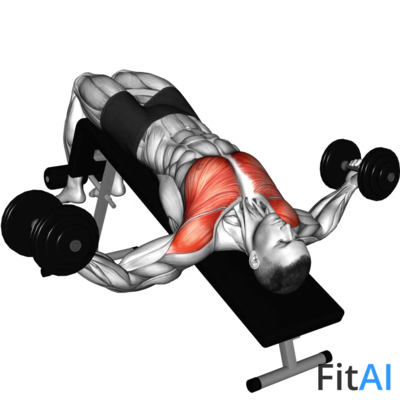 Dumbbell Decline Fly