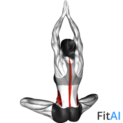 Seated Upper Body Rotation