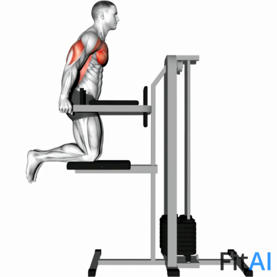 Assisted Chest Dip (kneeling)