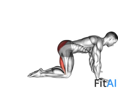 Straight Leg Kickback (kneeling)