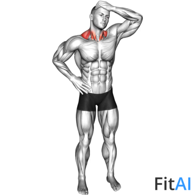 Side Neck Stretch