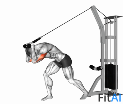 Cable Rope High Pulley Overhead Tricep Extension