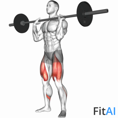 Barbell Front Chest Squat