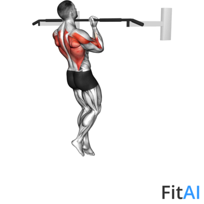 Chin-up (izometric and negative)