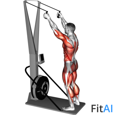 Ski Ergometer