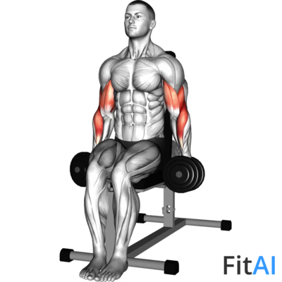 Dumbbell Seated Hammer Curl