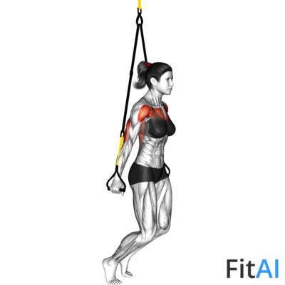 Suspender Self Assisted Chest Dip