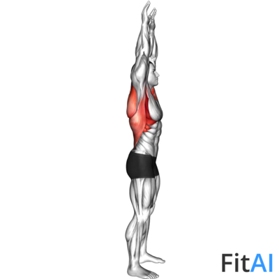 Shoulder Backbend Stretch