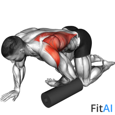 Roll Kneeling Upper Back Rotation