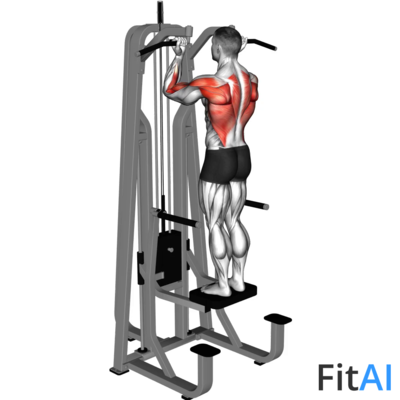 Lever Assisted Standing Chin-up