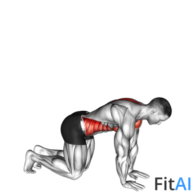 Kneeling Back Rotation Stretch