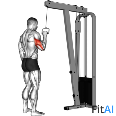 Cable One Arm Tricep Pushdown