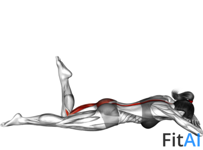 Lying Single Glute Lift