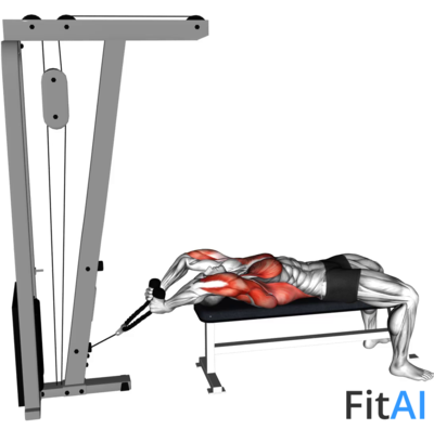 Cable Lying Extension Pullover (Rope)