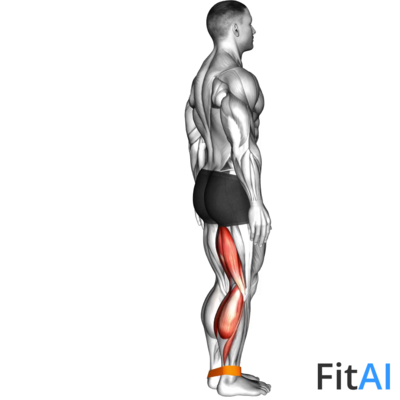 Resistance Band Leg Curl