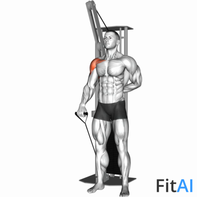 Cable One Arm Front Raise