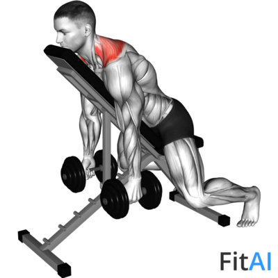 Dumbbell Decline Shrug