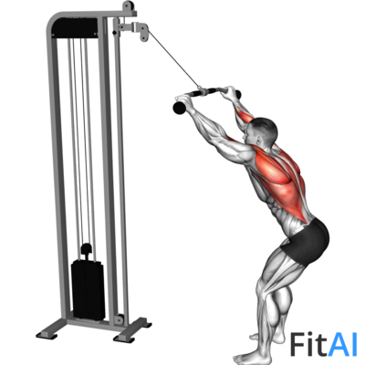 Cable Standing Lat Pulldown