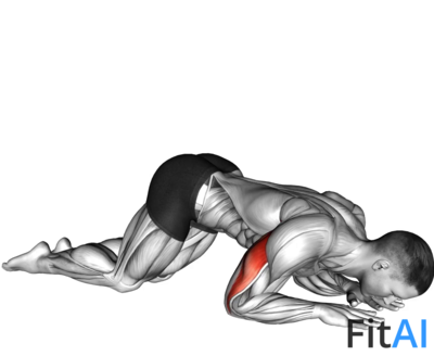 Bodyweight Kneeling Triceps Extension