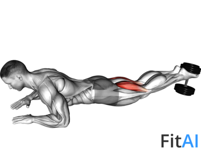 Dumbbell Lying Hamstring Curl