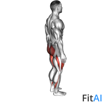 Reverse Lunge (leg kick)