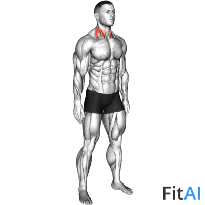 Backward Forward Turn to Side Neck Stretch