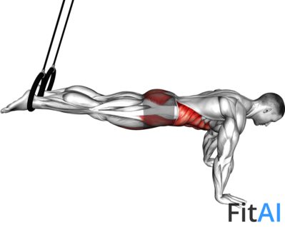 Ring Reverse Ab Rollout