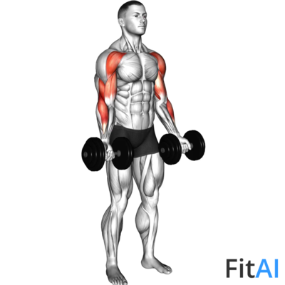 Dumbbell Drag Curl (V2)