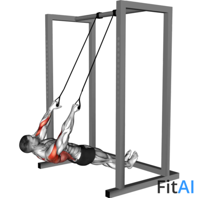 Inverted Row with Straps