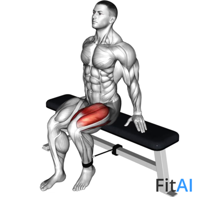 Band Seated Leg Extension