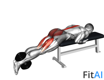 Dumbbell Reverse Hyperextension on Bench