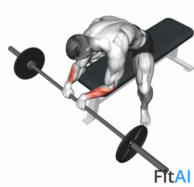 Barbell Reverse Wrist Curl