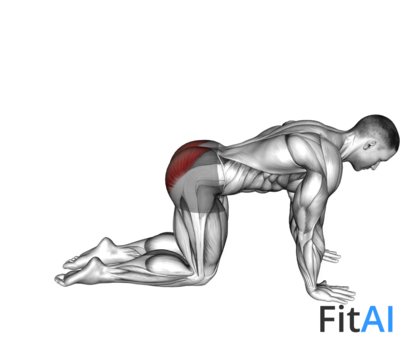 Bent Leg Kickback (kneeling)