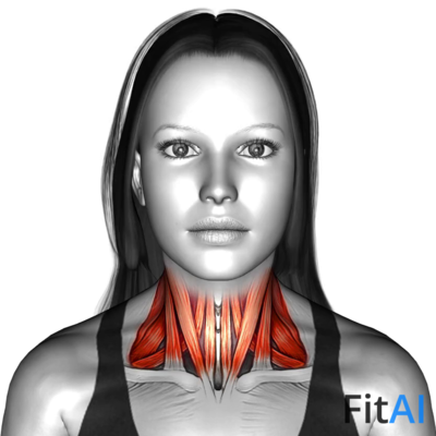 Head Full Rotation fPOV