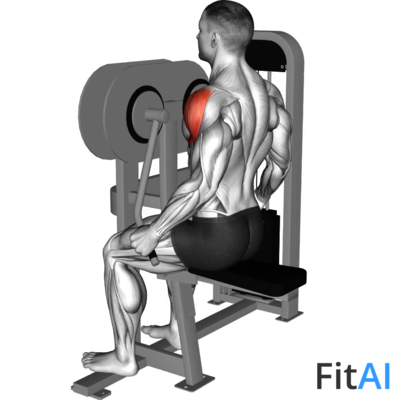 Lever Lateral Raise (V2)