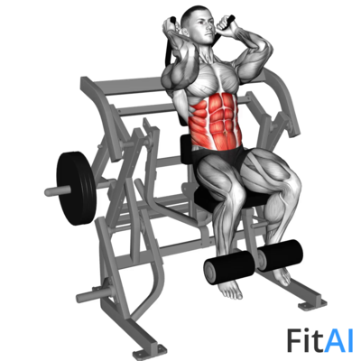 Lever Seated Leg Raise Crunch (Plate)