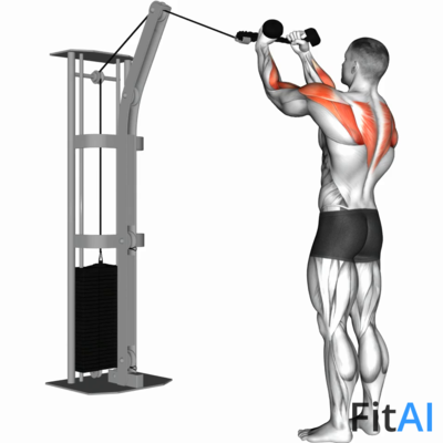 Cable Rear Delt Row (Rope)