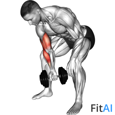 Dumbbell Standing One Arm Concentration Curl