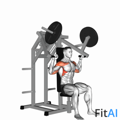 Lever Military Press (Plate)