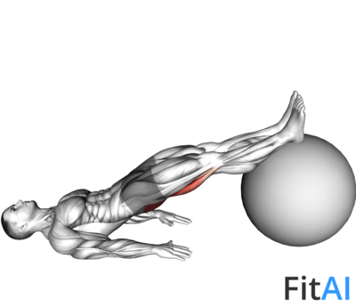 Stability ball Leg Curl