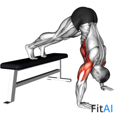 Pike Push-up (on Bench) (V2)