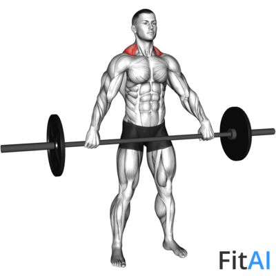 Barbell Wide Shrug