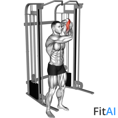 Cable Alternate Triceps Extension