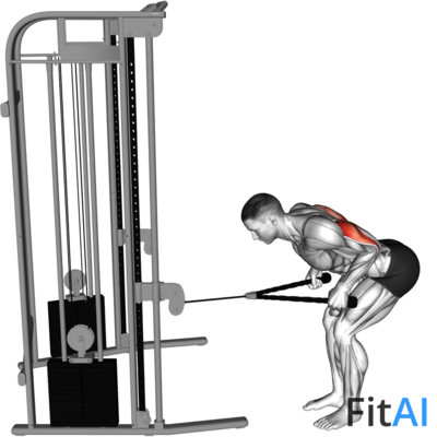 Cable Bent-Over Neutral-Grip Kickback (Rope)