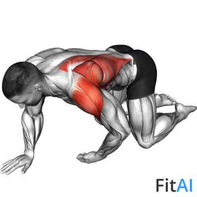 Kneeling T Spine Mobility
